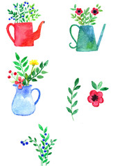 Watercolor, watering cans, flowers, garden decor, illustration, garden compositions