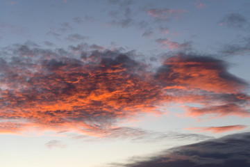 Altocumulus clouds at sunset
