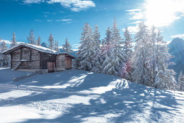 Fototapeta na wymiar Schihütte im Winterwald