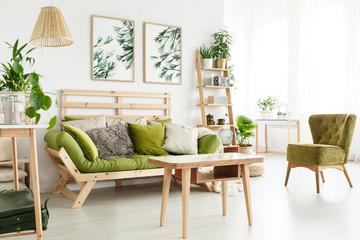 Natural living room with plants