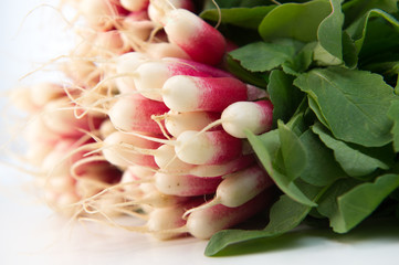 Bunch of red radish on white background edible root vegetable