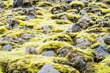 National Park Landmannalaugar in Iceland