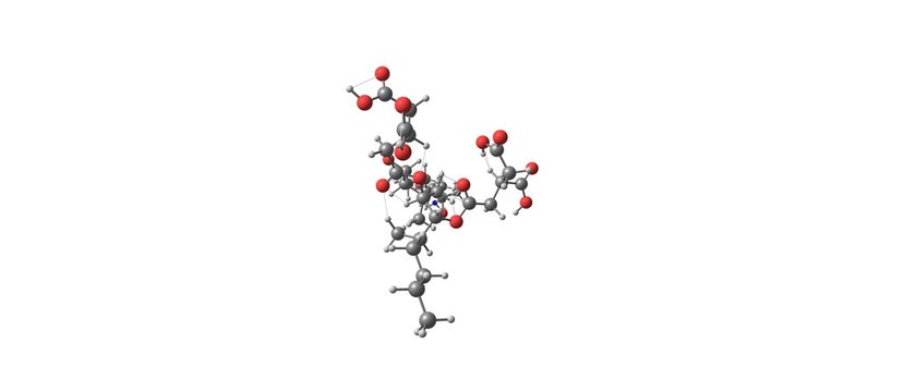 Fumonisin molecular structure isolated on white