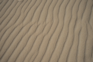 Textura arena del desierto