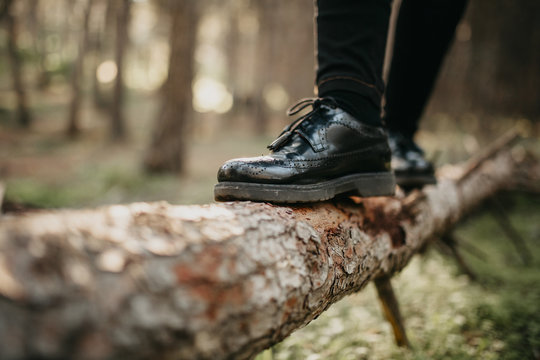 Close Up Of Feet In Black Shoes Walking And Balancing On A Fallen Tree Trunk.