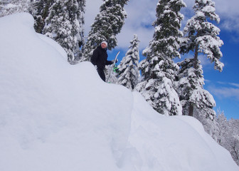 freeride en forêt - poudreuse