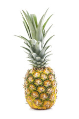 Pineapple in white studio background. Sweet delicious mellow tropical fruit. Full whole yellow pineapple. Fruit.