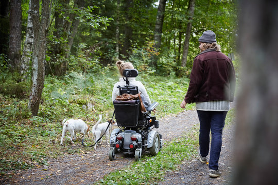 Rear view of young caretaker with disabled woman and dog in forest