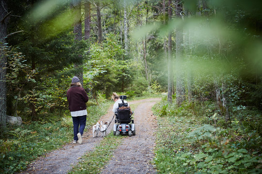 Rear view of young male caretaker with disabled woman and dog in forest