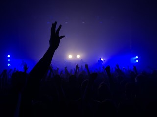 Audience at rock concert