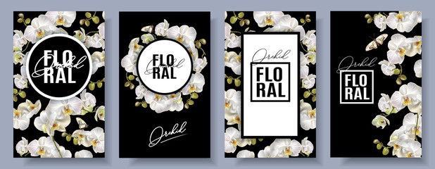 Vector botanical with white orchid flowers on blue background. Floral design for cosmetics, perfume, beauty care products. Can be used as greeting card, wedding invitation © purplebird