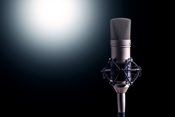 microphone condenser for recording vocals and musical instrument in the studio