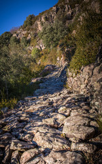 Walk up the Hill III - Steinpfad auf den Berg hinauf
