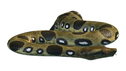 Obraz premium 3D Rendering Green Anaconda on White