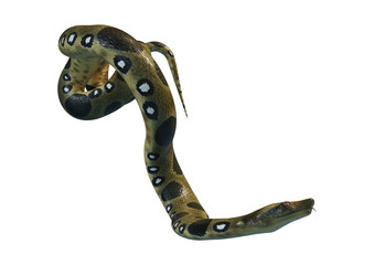 Naklejka premium 3D Rendering Green Anaconda on White