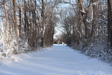 Snowy Road