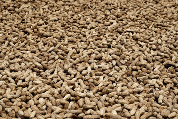 peanuts background image. Fresh ingridients of healthy diet