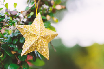 Christmas decoration, golden star hanging on tree branch
