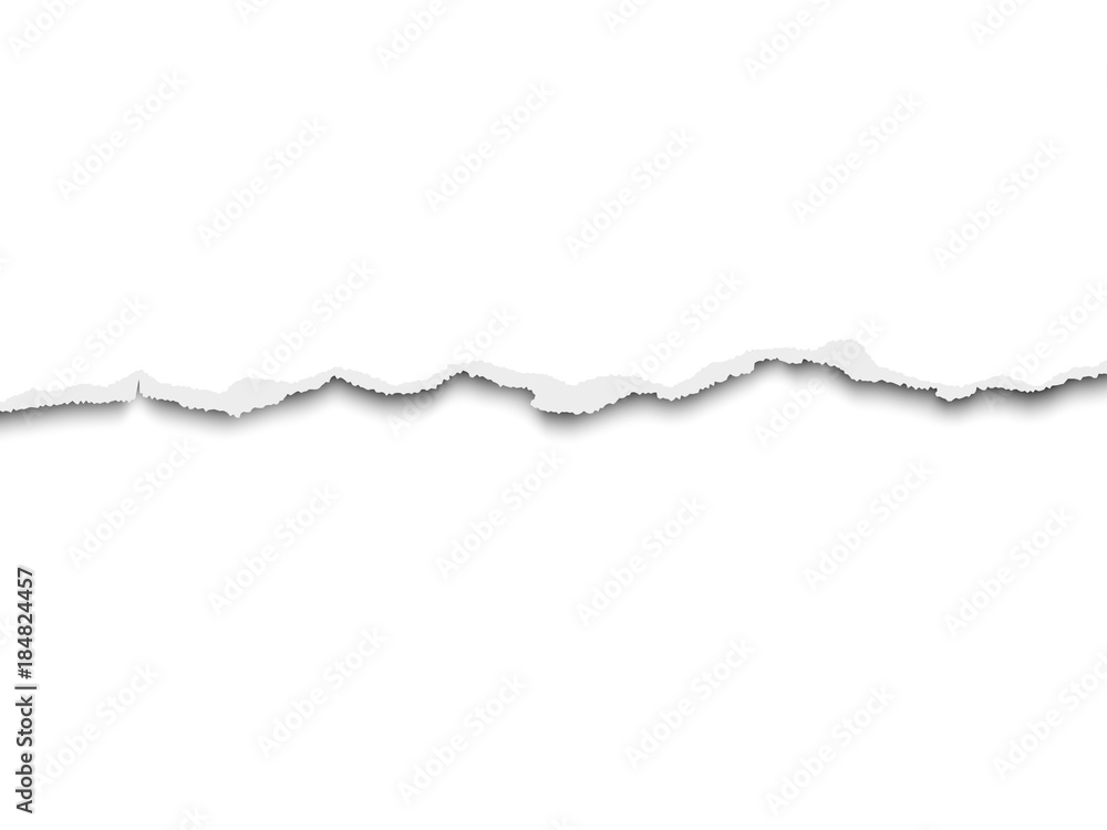 Wall mural torn a half sheet of white paper from the bottom. vector template paper design.