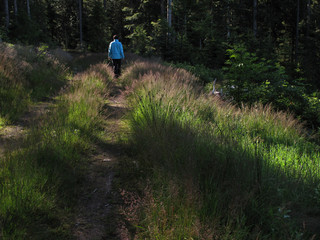 Wandern im Südschwarzwald
