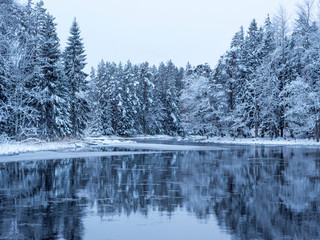 River landscape with tree forest covered by fresh snow during winter Christmas time