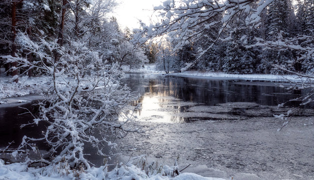 River landscape with tree forest covered by fresh snow during winter Christmas time