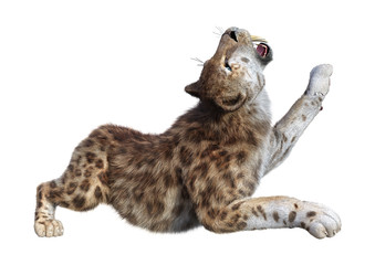 3D Rendering Sabertooth Tuger on White