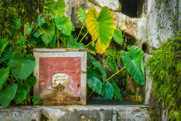 Old fountain in the Minerva's Garden in Salerno, Campania, Italy.