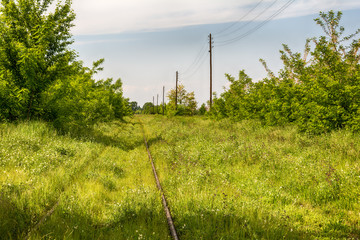 Fototapeta premium old and abandoned railroad in Serbia 
