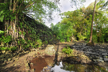 Leluh archaeological site  on Lelu Island, Kosrae State of Micronesia.   © robnaw