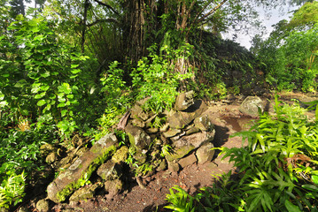 Leluh archaeological site  on Lelu Island, Kosrae State of Micronesia.   © robnaw