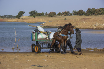 Horse-drawn on their way to the Monday market at Djenne by the Bani river, Mali, West Africa