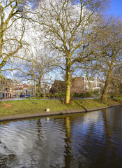 Fototapeta na wymiar Relection of the tree and clouds in canal water in Leiden, Netherlands
