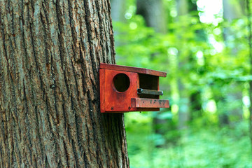 Birdhouse on a tree