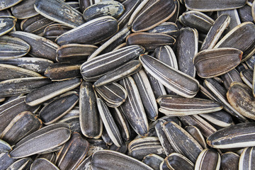Sunflower seeds. Seeds with shell. Sunflower seed texture closeup pattern as background. Food photo.