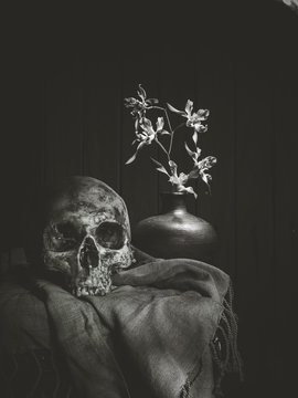 Still life skull and flower