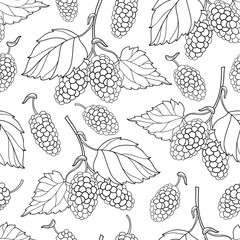 Vector seamless pattern with outline Mulberry or Morus bunch with berry and leaf in black on the white background. Floral pattern with contour Mulberry fruit for summer design or coloring book.