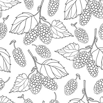 Vector seamless pattern with outline Mulberry or Morus bunch with berry and leaf in black on the white background. Floral pattern with contour Mulberry fruit for summer design or coloring book.