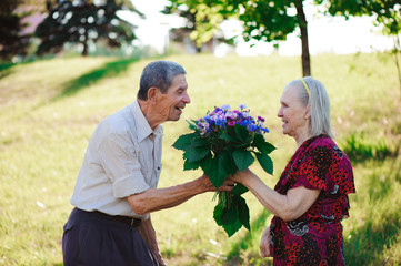 An elderly man of 80 years old gives flowers to his wife in a summer park.