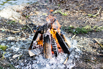 Burning campfire
