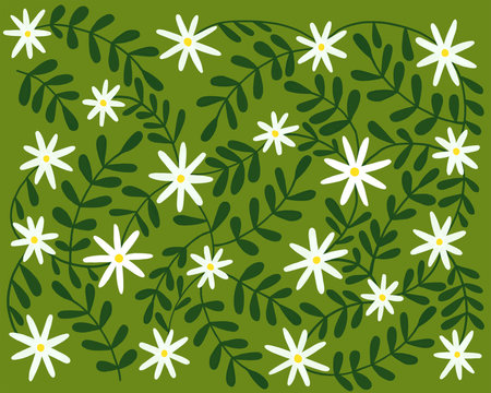 Daisy Illustration