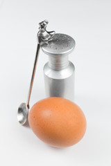 Close up of egg, saltshaker and teaspoon with chicken on white table
