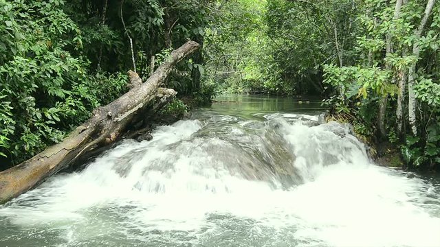 Landscape of a waterfall on Formoso river in Bonito - MS, Brazil. River with transparent green water surrounded by nature. Tourism place for aquatic adventures and eco tour.