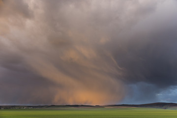 Naklejka na ściany i meble dramatic stormy cloud over the green field in evening