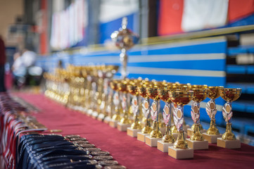 Gold champion trophies and medals lined up in rows