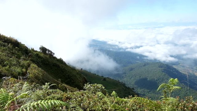 Chiangmai,Thailand-November 19,2017, Kew Mae Pan Nature Trail, Chiangmai, Thailand