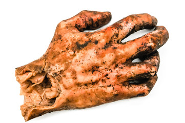 Model of a human hand, after being blown off by a bomb, as used for military training for disaster...