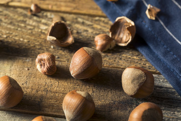 Raw Brown Organic Shelled Hazelnut Filberts