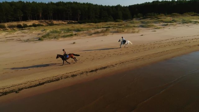Two women riding horses on a beach