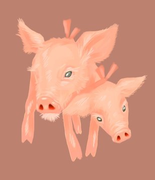 Two headed pig with pink bow 